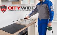 City Wide Pest Control Adelaide image 4